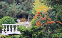 ősz kertek és parkok híd címlapfotó