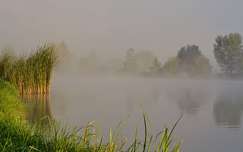 címlapfotó ősz nád tükröződés köd tó