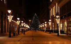 karácsonyfa karácsonyi dekoráció éjszakai képek lámpa karácsony fenyő