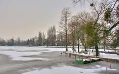 2016.01.02. Tata,Cseke-tó, Fotó: Szolnoki Tibor