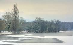 2016.01.02. Tata,Cseke-tó, Fotó: Szolnoki Tibor