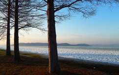 balaton fa tó magyarország tél
