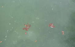 A befagyott Balaton