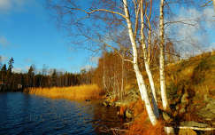 Garphyttan nemzeti park, svédország