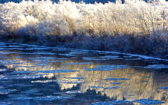 fa folyó zúzmara tükröződés tél