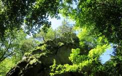 Ausztria - Steinwandklamm