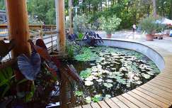 Nyíregyházi Állatpark