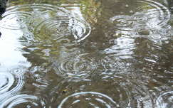 eső, ősz, víz, pocsolya