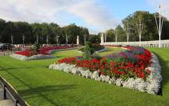 Anglia, London - Buckingham palota parkja
