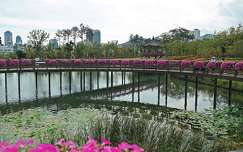 Park, Puszan, Dél-Korea