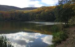 ősz, tó, erdő, tükröződés