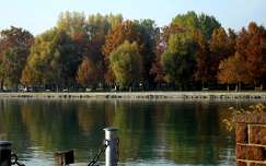 ősz, sétány, Balatonalmádi, Magyarország