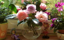 Napsütötte hangulat