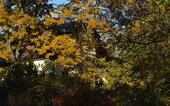 BalatonfÅ±zfÅ‘
