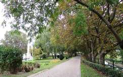 Ősz (Győr)