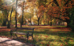 fény címlapfotó pad ősz kertek és parkok