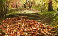 ősz lépcső levél címlapfotó
