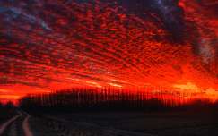 Pirosan izzó felhők, Dávod, Magyarország