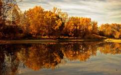 ősz tó tükröződés