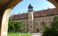 Wittenberg, Luther lakhelye