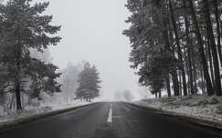 Ködös téli út