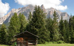 Fagunyho az Olasz Alpokban.