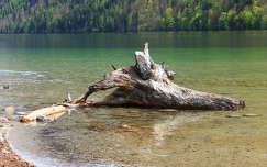 Németország, Königssee