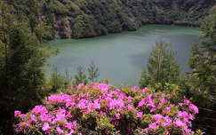 azori-szigetek tó rododendron portugália