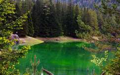 alpok ausztria erdő tó