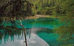 alpok ausztria erdő tó