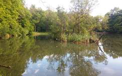 Bajdázói-tó, Királyrét