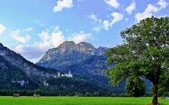 alpok németország hegy címlapfotó várak és kastélyok nyár neuschwanstein kastély