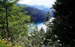 hegy németország alpok tó nyár