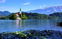 alpok tó templom bledi-tó hegy címlapfotó nyár szlovénia
