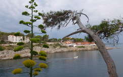Veli Losinj