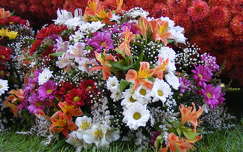 virágcsokor és dekoráció frézia liliom címlapfotó