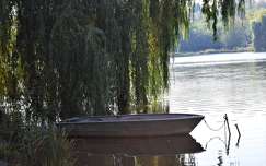 Csónak a fűzfűk árnyékában, Pécs, Malomvölgyi tó