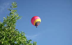 diófa,kék ég ,hőlégballon