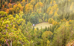 ház románia kárpátok erdély ősz erdő