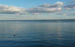 Balaton