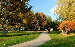 ősz, Balatonalmádi, Szent István Park, magyarország