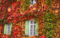 ablak, ősz