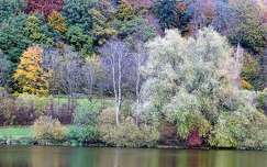 ősz címlapfotó erdő