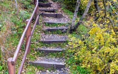 ősz, korlát, lépcső, magyarország