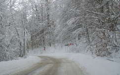 út címlapfotó erdő tél