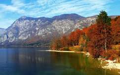 hegy címlapfotó ősz erdő tó