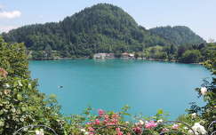 Szlovénia,Bledi tó,kilátás a szigetről
