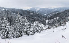 románia hegy kárpátok erdély erdő tél