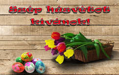 húsvét, tulipán, tojás, magyarország