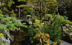 The Irish National Stud's Japanese Gardens